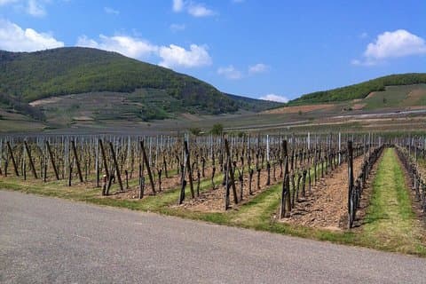 Escursione privata: il meglio dell'Alsazia in un giorno!