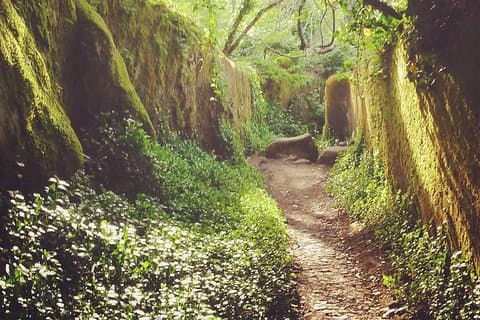"Sintra, Kingdom of Love" - Private Day Walk