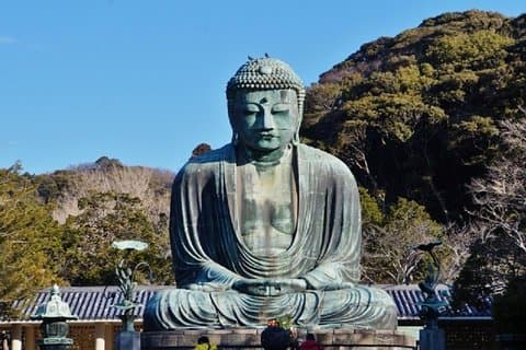 Excursão privada pela floresta de bambu de Kamakura e pelo Grande Buda