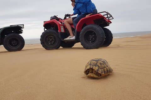 Essaouira P2: dunes wipe & beaches in quad with transfer
