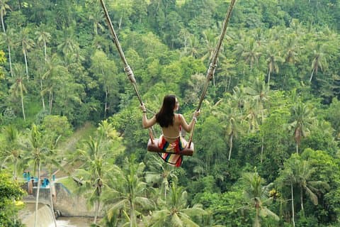 Private Ubud-Touren mit Jungle Swing Experience – alles inklusive