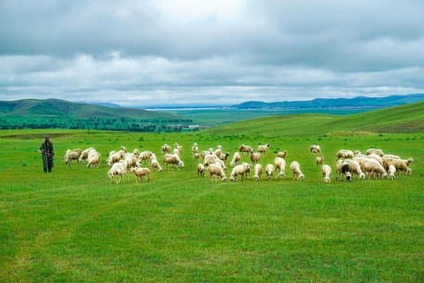Transfert privé entre Beijing et Bashang Grassland à Mulan Weichang