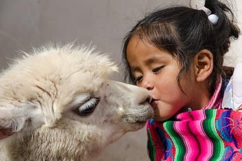 Tour completo por el Valle Sagrado – Pisac, Moray y tradiciones andinas