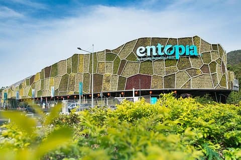 ペナンの魅力：街のランドマーク、フェリンギビーチ＆エントピアの楽しさ