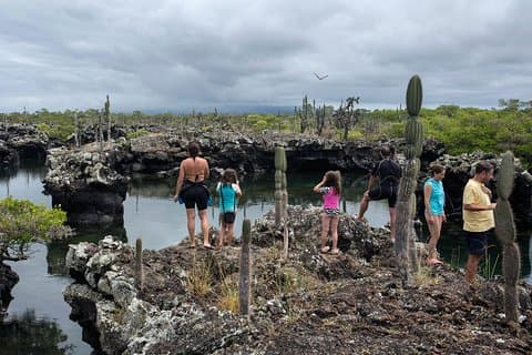 5-dagers guidet Galapagos & Los Tuneles Tour