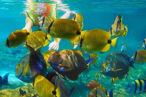 Krabi Nice Sea Snorkel