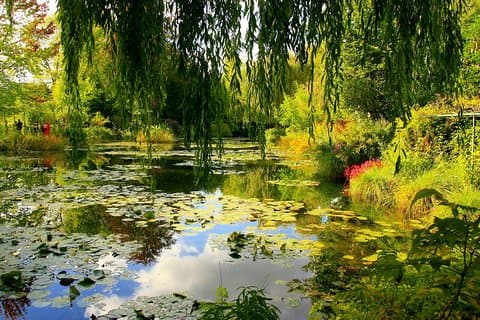 Giverny & Monet's House Audio Guided Halvdagstur fra Paris