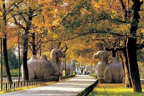 Nanjing Ancient Impression Private Day Tour med lunsj