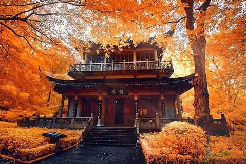 Halv dagers privat tur til Qixia Temple og Swallow Rock i Nanjing