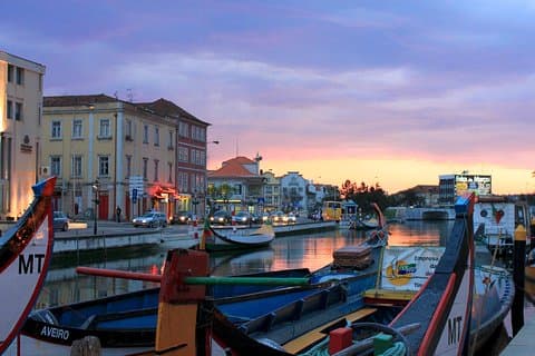 Tour privado de Aveiro, Costa Nova e Coimbra a partir de Porto