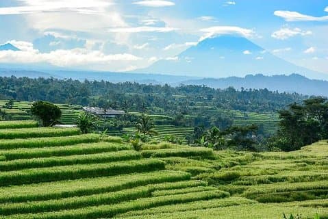 Auto a noleggio privata a Bali con autista privato