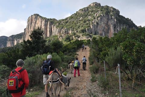 DÉCOUVRIR LA SARDAIGNE, LES CHEMINS DE TRANSHUMANCES avec des ANES