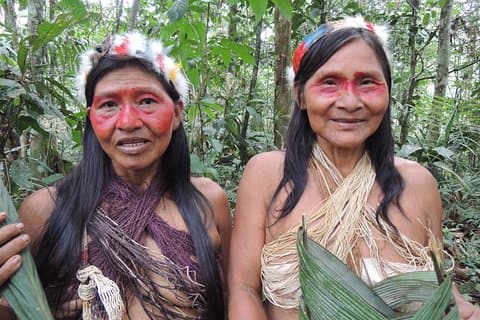 4 dias de aventura privada na Amazônia Huaorani