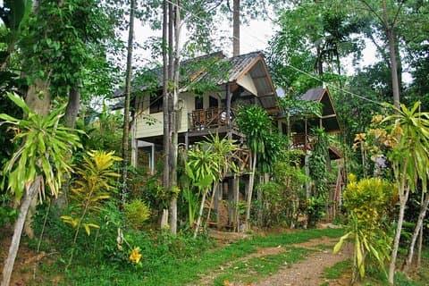 Safari de 2 jours dans la jungle de Khao Sok au départ de Krabi
