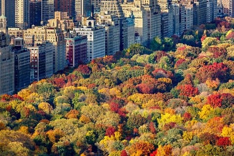 Privat Hudson Valley Fall løv helikopter charter fra Manhattan