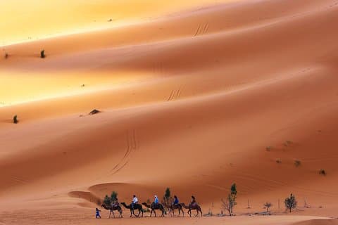 Desert Tour Marrakech Merzouga 3 dager / 2 netter