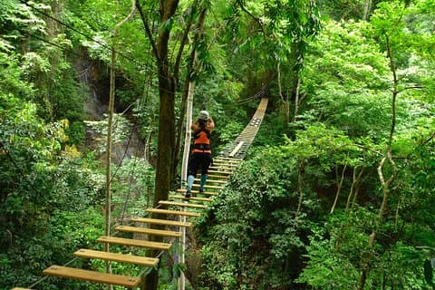 5 in 1 drogato di adrenalina di Jaco