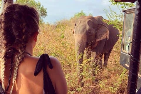 Tagesausflüge nach Udawalawe von Wadduwa