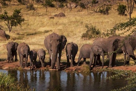 2-Days Safari Tarangire Park and Ngorongoro Crater