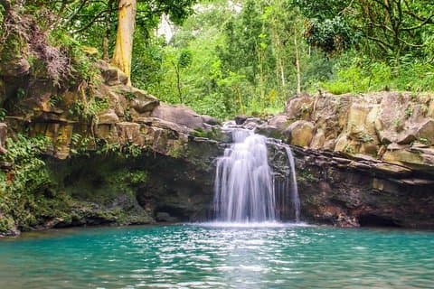 Waterfall & Rainforest Fottureventyr med hotellhenting