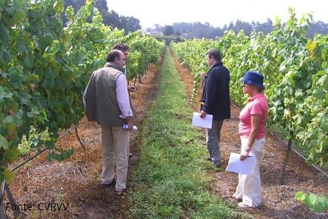 Privéwijntour Monção & Melgaço Alvarinho vanuit Porto