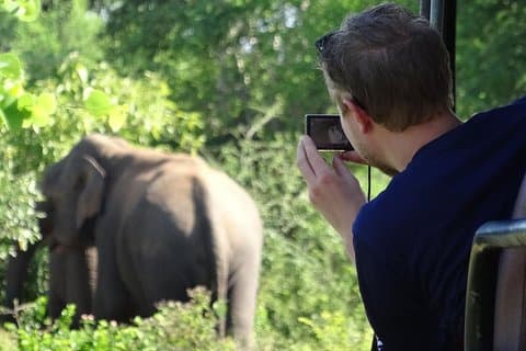 Hambantota港からのピクニックランチ付きの終日Yala Safari
