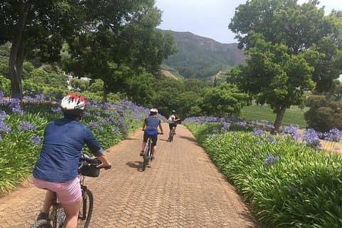 Constantia Hidden Gem Cycle Full Day - Tour Privado