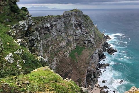 Excursion privée d'une journée à Cape Point , Penguins, dégustation de vin ou de bière