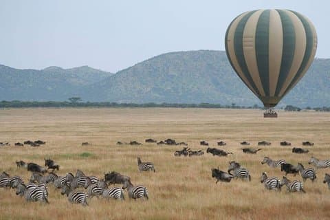 12 giorni di meglio del Kenya Tanzania Safari