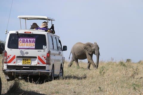 3 dager Masai Mara Safari