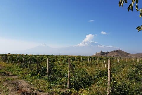 Dagstur til: Khor Virap-Areni Winery-Noravank