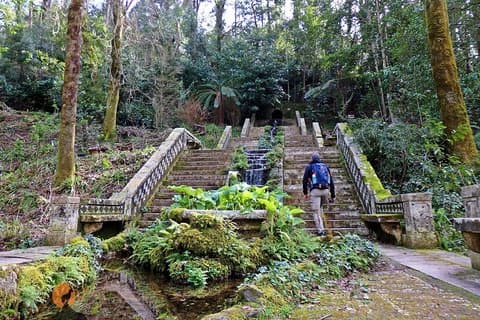 Una aventura por el Bosque y el Palacio de Bussaco - Coimbra