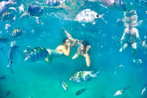 Paraíso tropical Ilha Grande en un tour privado en lancha rápida