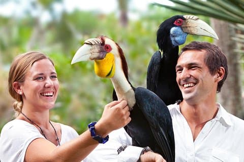Ingressos para o Bali Bird Park