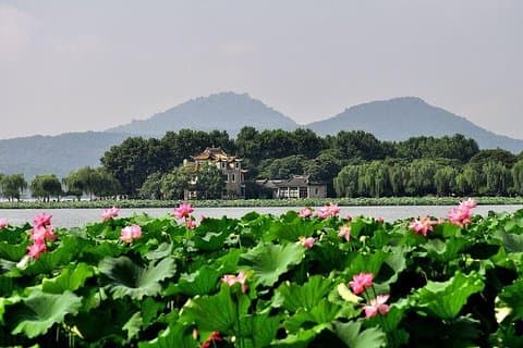 Excursão privada de um dia em Hangzhou flexível saindo de Nanjing pelo Trem-bala