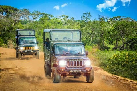 2 jours au parc national de Yala depuis Colombo avec Jeep Safari