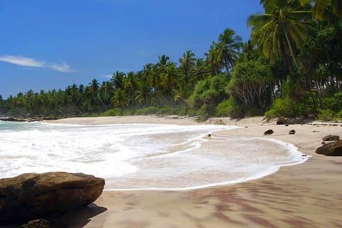 L'aéroport international de Colombo vers n'importe où dans Tangalle - Transport uniquement