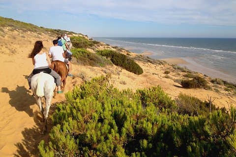 Donana National Park Horse eller 4x4 Riding Day Trip