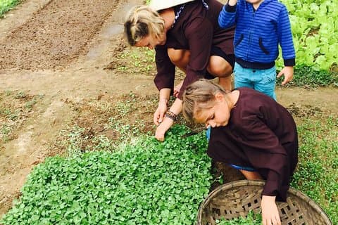 Tra Que Herb Village et cours de cuisine du vieux quartier de Hoi An