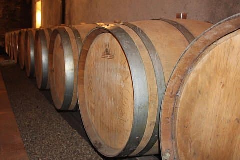 Från Angers - Anjou Vineyards i Minivan