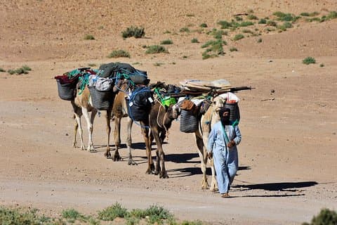 4 Days Hiking To Desert