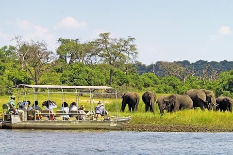 ビクトリア滝からの日帰り旅行でチョベ国立公園を探索
