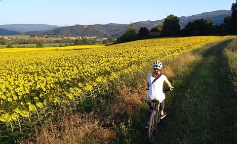 Land of painters - the origins of the Tuscan landscape