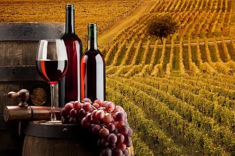 Excursão privada a Bella Toscana: 2 vinícolas de Chianti e San Gimignano saindo de Livorno