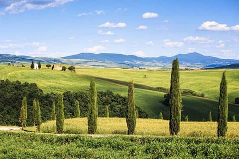 Livorno shore excursion: Bolgheri and Supertuscan private tour