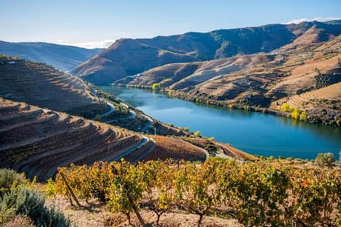 Douro Valley: privat rundtur med lunch och vingård all inclusive