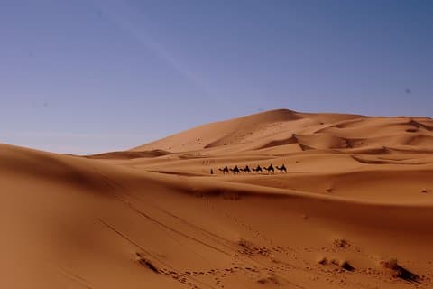 Morocco Desert Tour 8 jours dans le désert de Tanger à Marrakech