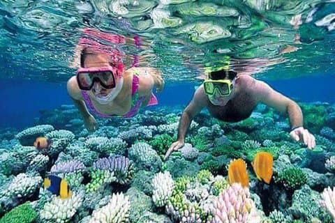 Snorkeling Gate Heaven And Tirta Gangga Private Guided Tour