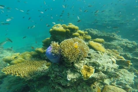 Snorkeling Tour to 4 Islands(Emerald Cave) From Koh Lanta by Speedboat