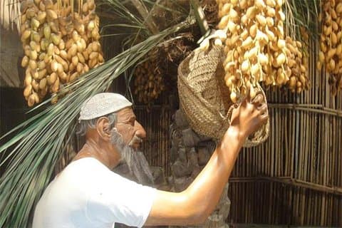 Tour Histórico pela Cidade do Dubai